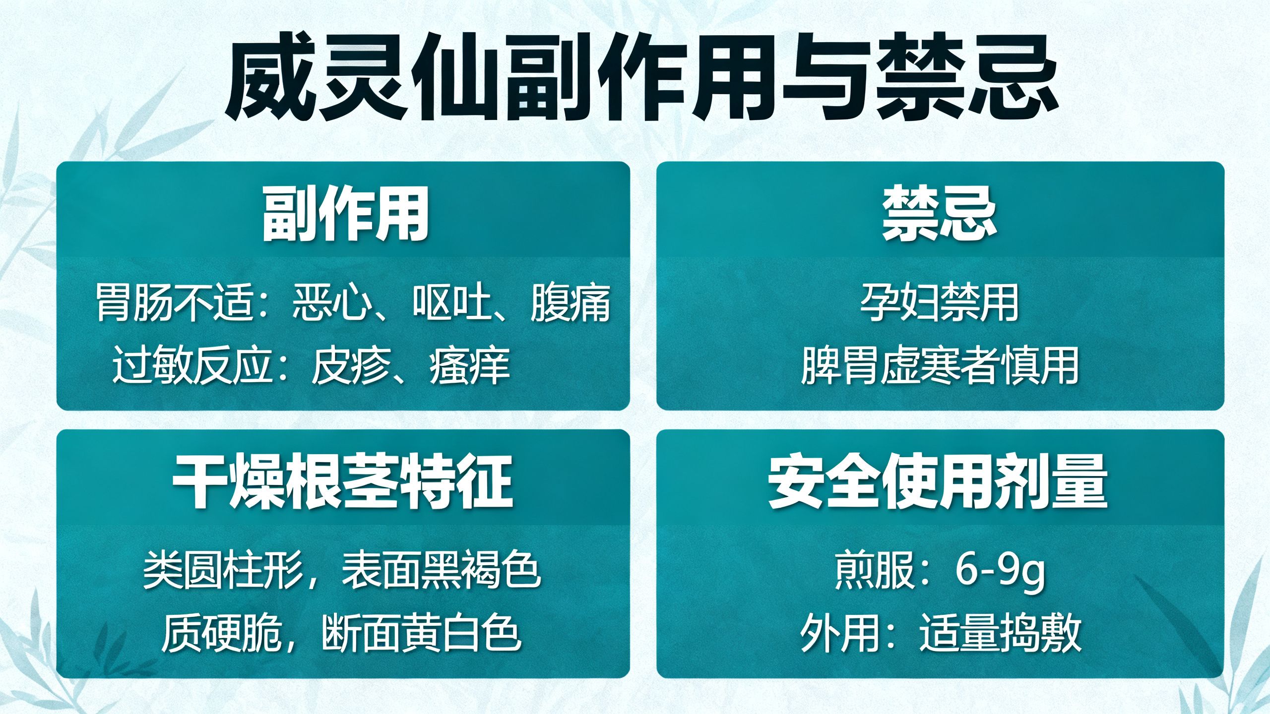 威靈仙副作用與威靈仙禁忌，乾燥根莖與安全使用劑量