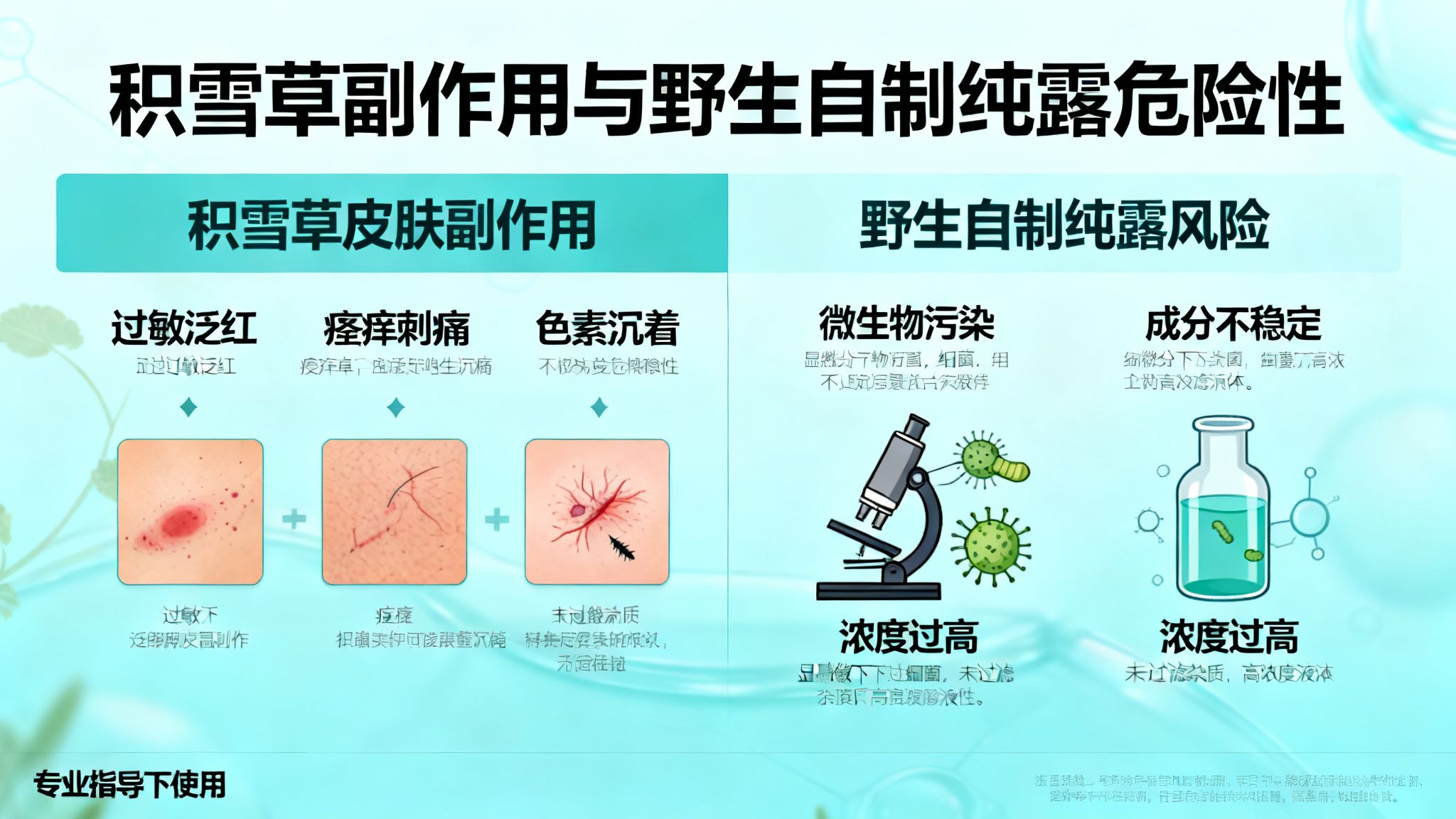 積雪草副作用皮膚與野生自製積雪草純露的危險性