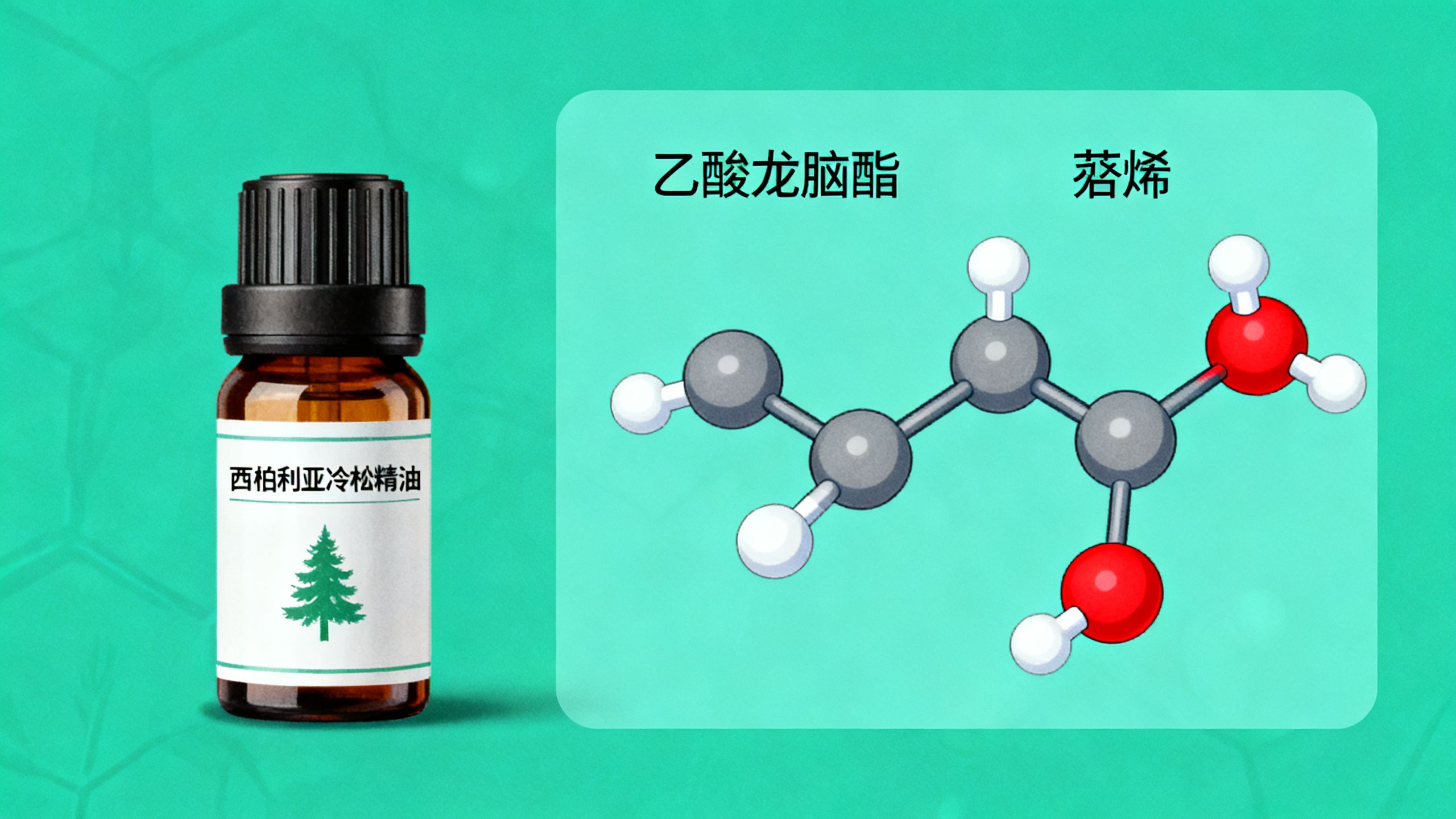 西伯利亞冷杉精油成分中富含的乙酸龍腦酯與蒎烯化學分子